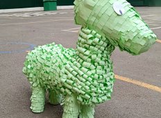 img (9)